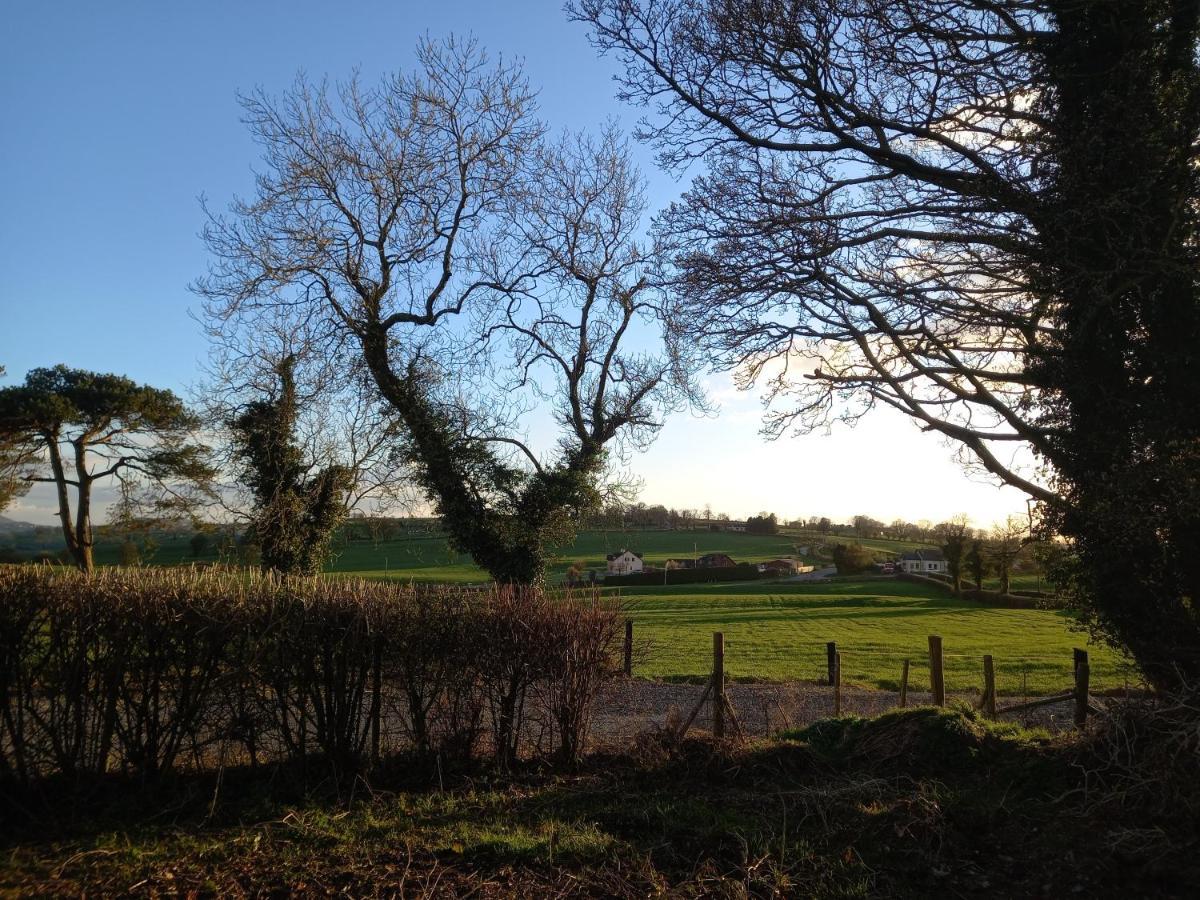 Derrywilligan Guest Accommodation Bessbrook Exteriör bild